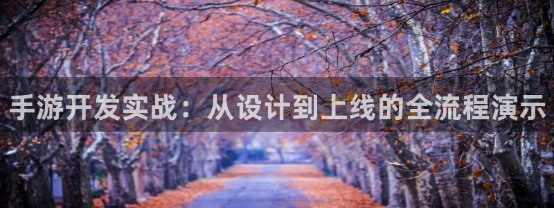 安信13娱乐官网入口：手游开发实战：从设计到上线的全流程演示