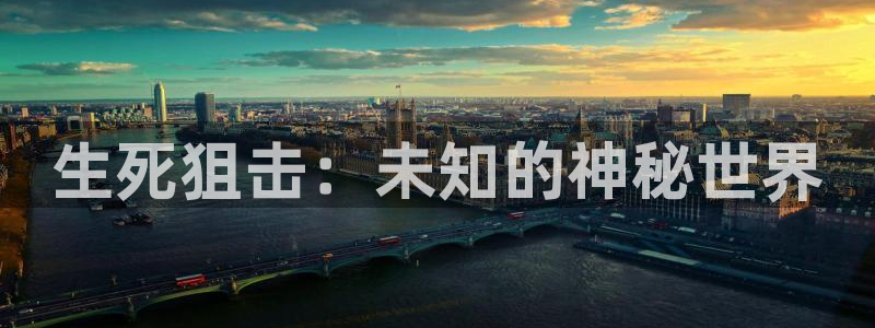 安信娱乐2负责人