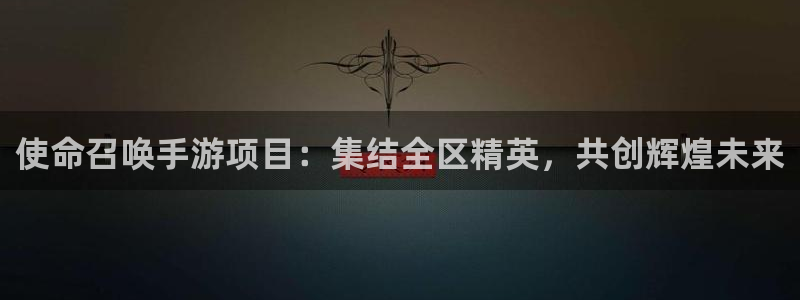 安信12娱乐网：使命召唤手游项目：集结全区精英，共创辉煌未来