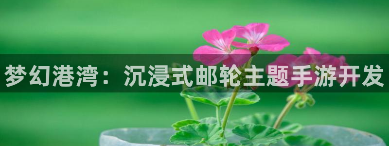 安信娱乐被国家认可吗：梦幻港湾：沉浸式邮轮主题手游开发