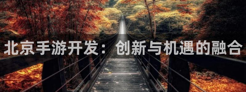 安信14娱乐：北京手游开发：创新与机遇的融合