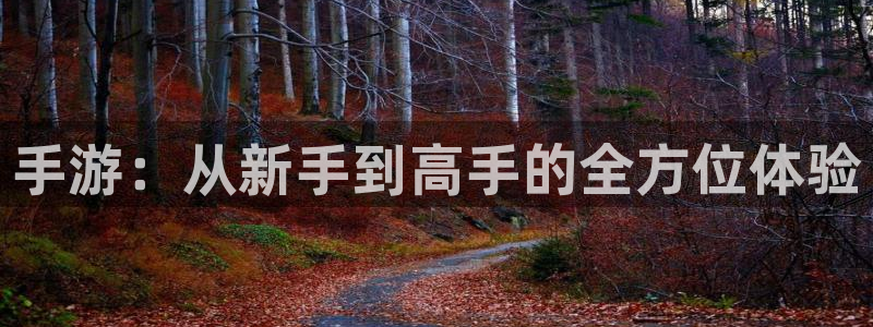 安信娱乐怎么注册：手游：从新手到高手的全方位体验