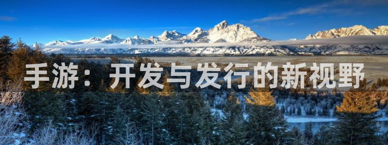 安信12娱乐登录：手游：开发与发行的新视野