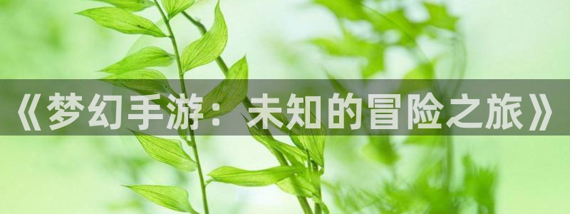 安信3娱乐注册：《梦幻手游：未知的冒险之旅》