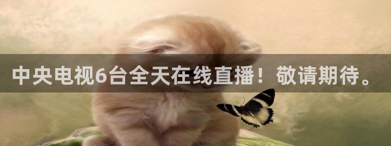 劲爆体育篮球直播：中央电视6台全天在线直播！敬请期待。