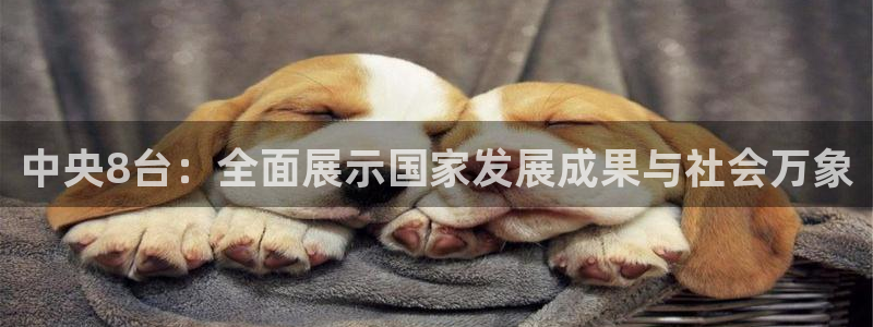 劲爆体育在线直播免费观看：中央8台：全面展示国家发展成果与社会万象