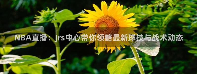 nba劲爆体育直播在哪看：NBA直播：Jrs中心带你领略最新球技与战术动态