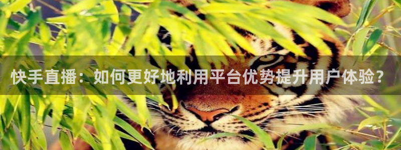 劲爆体育nba在线直播：快手直播：如何更好地利用平台优势提升用户体验？