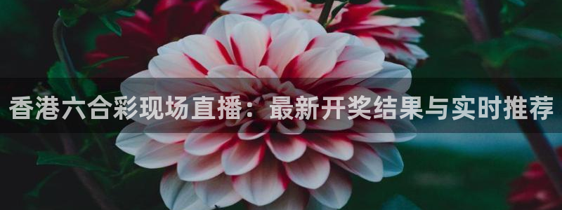 劲爆体育在线直播观看上海三打一：香港六合彩现场直播：最新开奖结果与实时推荐