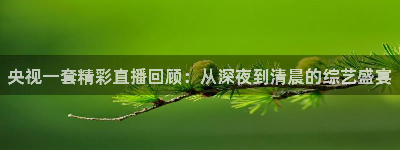 劲爆体育在线直播nba