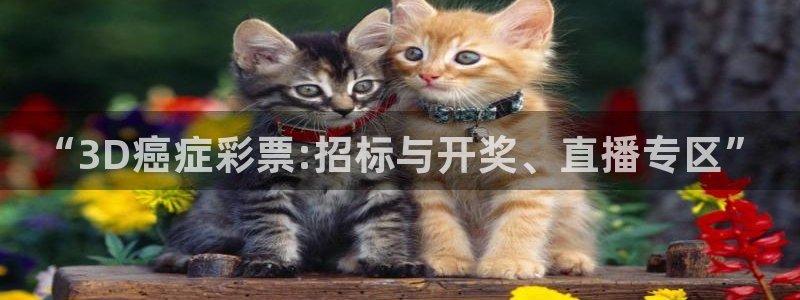 劲爆体育在线直播nba直播：“3D癌症彩票:招标与开奖、直播专区”